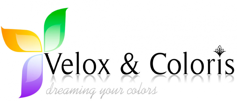 Velox & Coloris, S.A. - FAST-ColorPro 2000 v4.6.124
